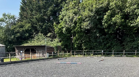 Pole and grid work at Wapley stables